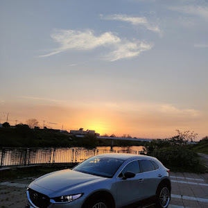 CX-30 DM8P