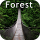 Download Forest Wallpaper For PC Windows and Mac 1.0
