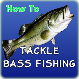 Tackle Bass Fishing(圖7)-速報App