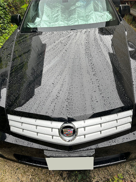 XLRの最強のキャデラック✨✨・６月もよろしくお願いします・保護猫のハーちゃん・雨上がりの朝に関するカスタム事例の投稿画像1枚目