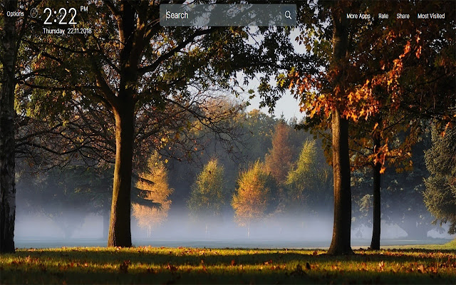 Autumn Wallpapers New Tab