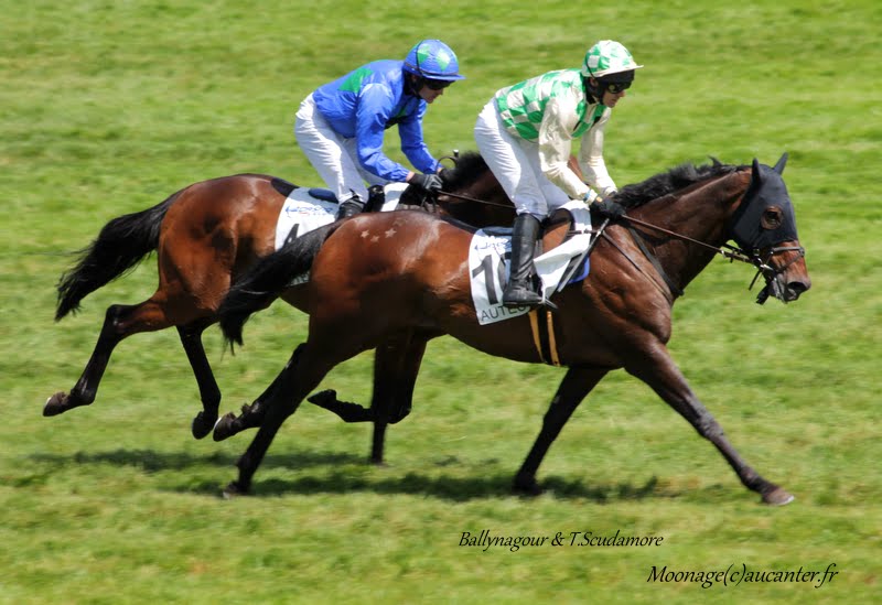 Photos Auteuil 7-06-2015 Journée Grande Course de Haies VQuxSVlm4SOUARvhBFG6glH0aEFuloA-Swx3iY0zPY5I=w800-h549-no