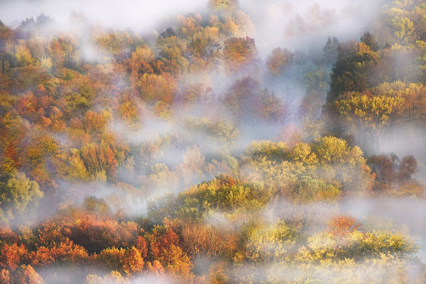 Colori nella nebbia di BASTET-Clara