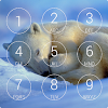 Polar Bear Lock Screen icon