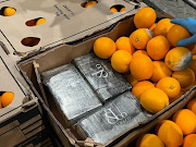 Blocks of cocaine found in the container of oranges imported from South Africa.