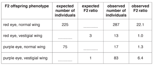 Genes, proteins, and phenotype