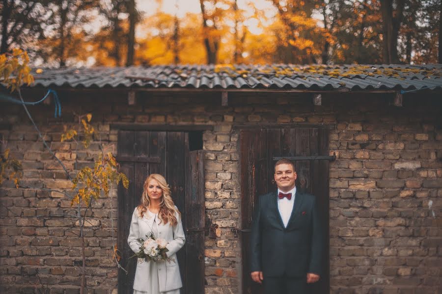 Wedding photographer Santis Zibergs (bilzukaste). Photo of 24 October 2014