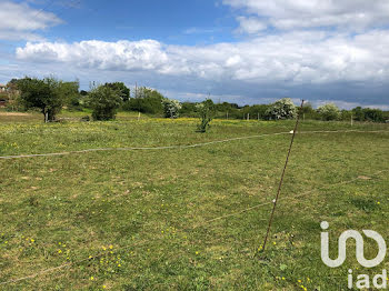 terrain à Villars-en-Pons (17)