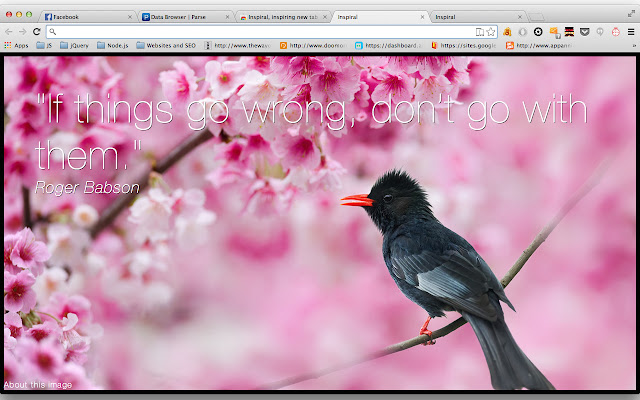 Inspiral, inspiring new tab page chrome extension