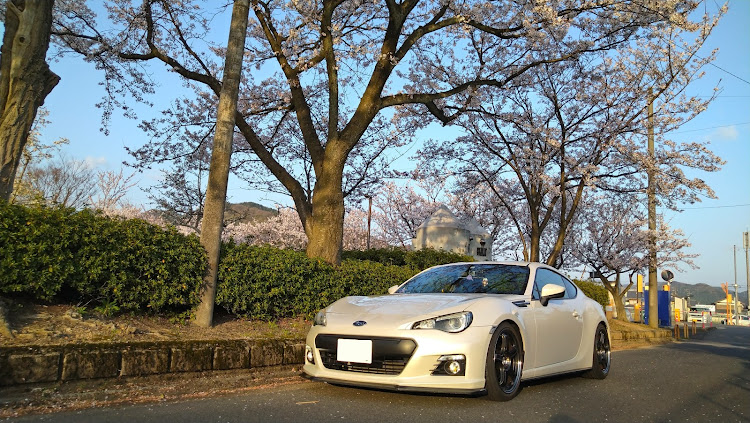 BRZの桜と愛車・撮影の練習・いい写真撮れない・桜・練習あるのみに関するカスタム事例の投稿画像15枚目