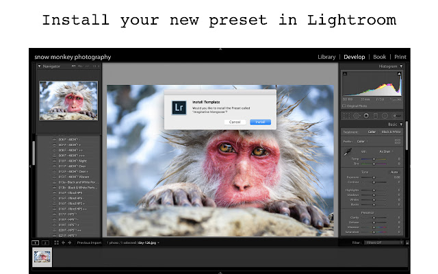 Lightroom Preset Generator