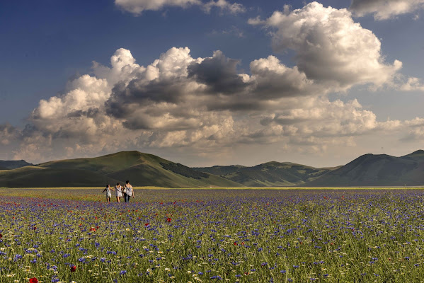 La primavera di Viola1