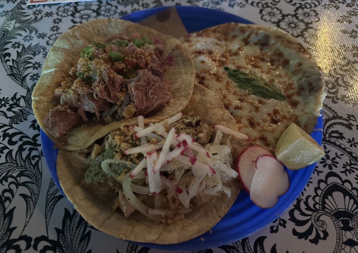 Carnitas, Nino Pobre, and Pollo En Pipian Tacos