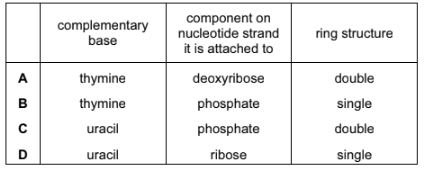 The structures of DNA and RNA