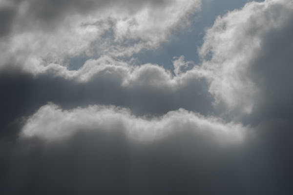 Dopo la tempesta  di Francesco Donati ph