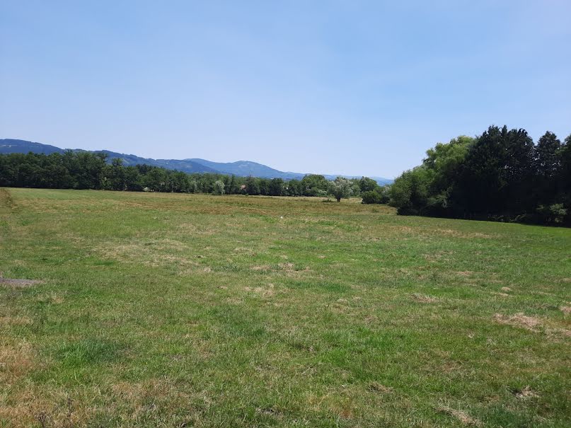 Vente terrain  1072 m² à Peschadoires (63920), 45 000 €