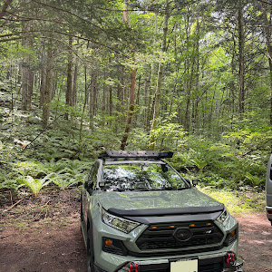 RAV4 MXAA54