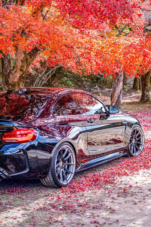 M2 クーペの顔面アップ選手権・2024ベストショット11月・α1・sel400f28gm・ピークウェイに関するカスタム事例の投稿画像8枚目