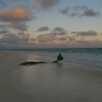 La donna e il mare di 