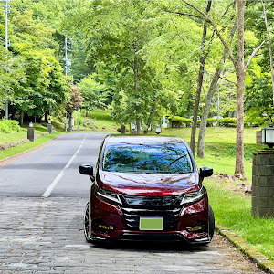 オデッセイ RC1