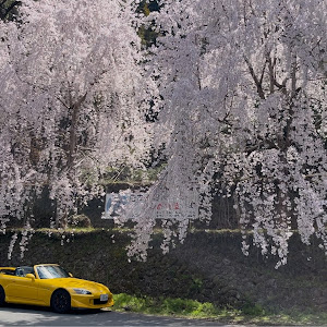 S2000 AP1