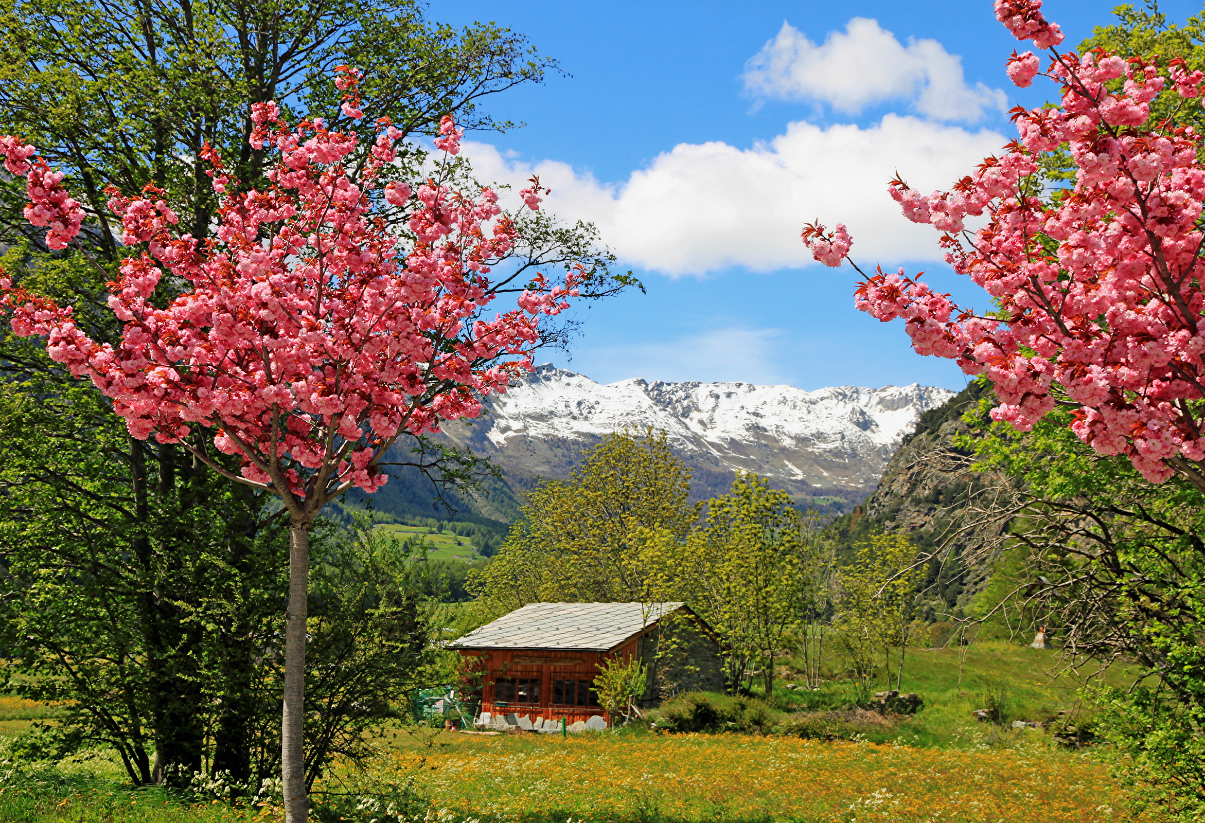 Primavera in val d'Ayas di MicheleSpadafina