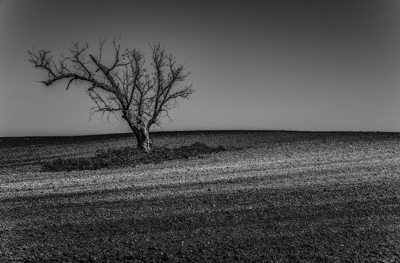 Aspettando la primavera di enmaster