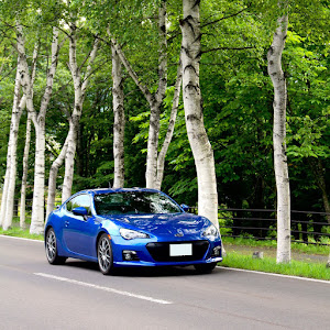 BRZ ZC6