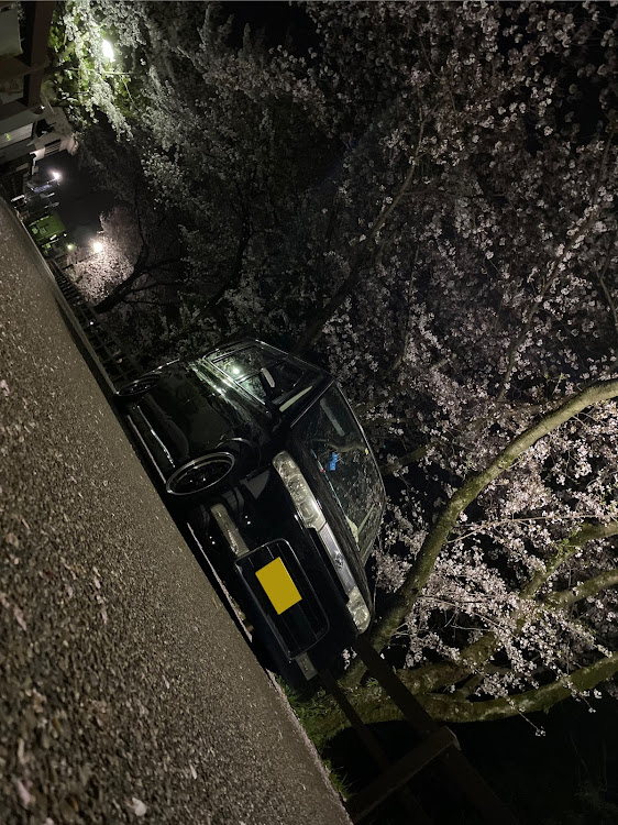 タントカスタムのDIY・桜と愛車・桜とコラボ・夜桜に関するカスタム事例の投稿画像1枚目