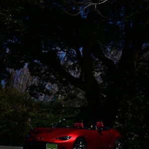 ロードスター ND5RC