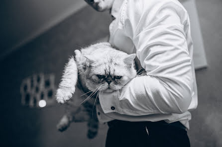 Fotógrafo de casamento Viktoriya Kozachenko (evavanger). Foto de 6 de outubro 2018