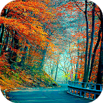 Cover Image of Download Autumn Live Wallpaper : backgrounds hd 1.0.1 APK