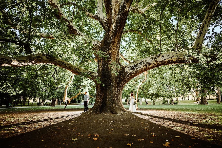 Fotografo di matrimoni Gábor Bolla (bollagabor). Foto del 19 settembre 2019