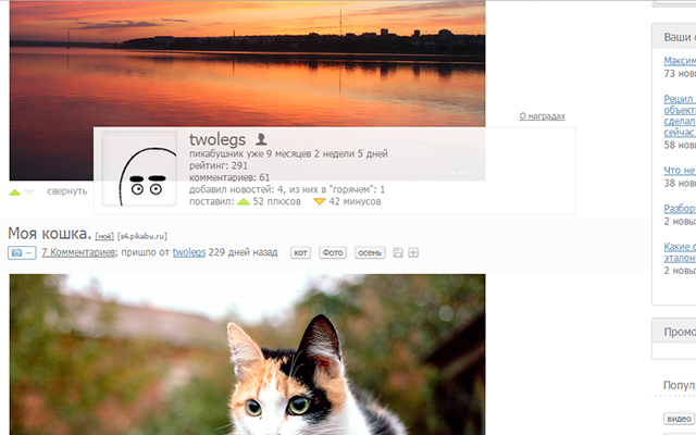 Pikabu Profile Viewer Preview image 0