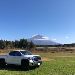 タンドラ