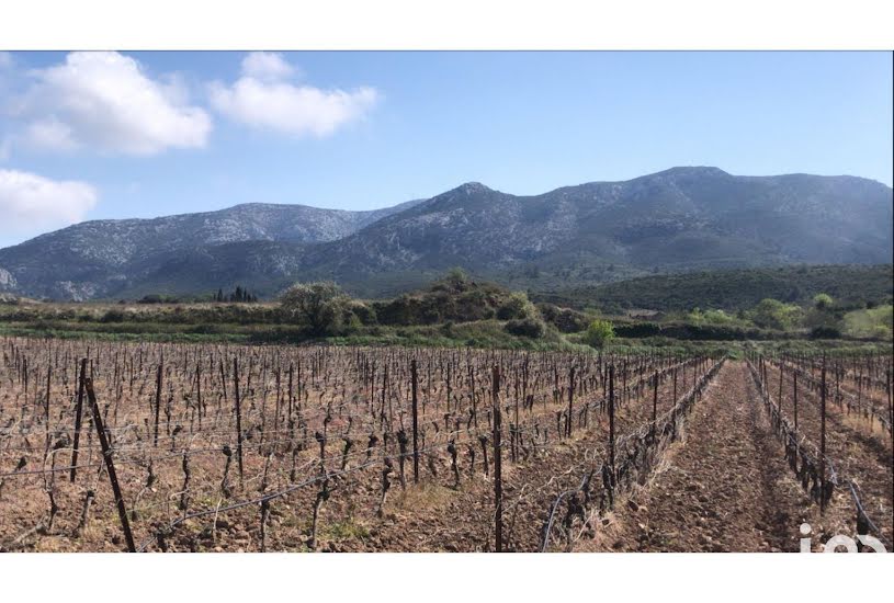  Vente Terrain à bâtir - à Fraissé-des-Corbières (11360) 