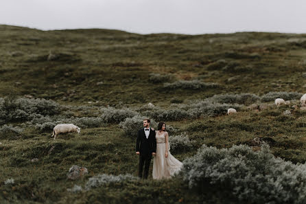 Fotógrafo de bodas Tony Iskra (iskraphoto). Foto del 13 de junio 2017