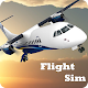 Flight Sim Download on Windows