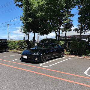 86 ZN6
