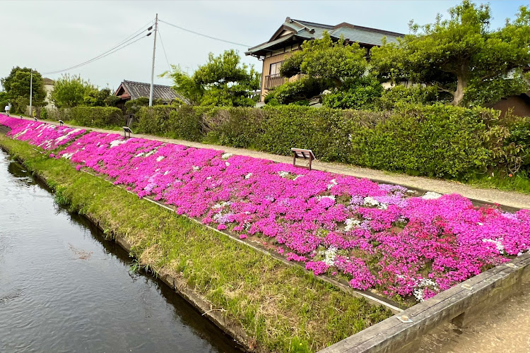 の投稿画像9枚目