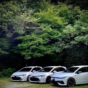 カローラスポーツ NRE210H