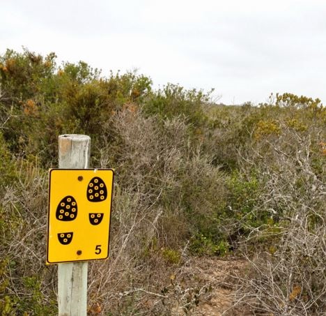 SANParks workers embarked on a strike on Wednesday morning. File photo.