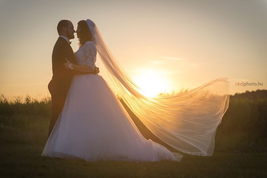 Wedding photographer Ákos Vörös (redphoto). Photo of 28 August 2015