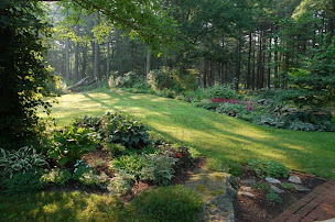 Confessions | Wooded backyard landscape, Backyard landscaping, Beautiful  gardens