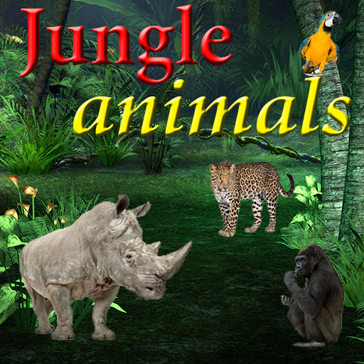 Jungle Animals 教育 App LOGO-APP開箱王
