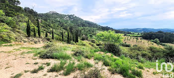 terrain à Villesèque-des-Corbières (11)