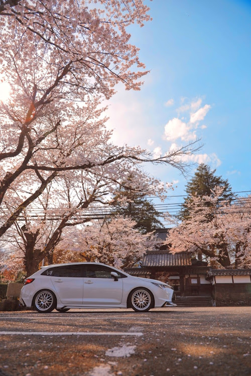 カローラツーリングの桜を求めて但馬へ・桜とコラボ・サクラと愛車・4月もよろしくお願い致します🌸・桜コラボに関するカスタム事例の投稿画像18枚目