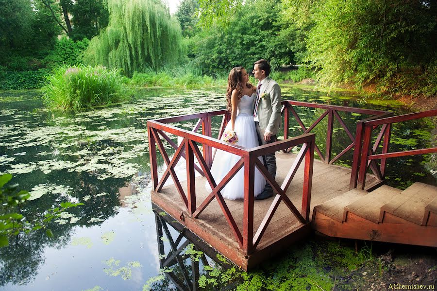 Wedding photographer Aleksey Chernyshev (achernishev). Photo of 16 April 2014