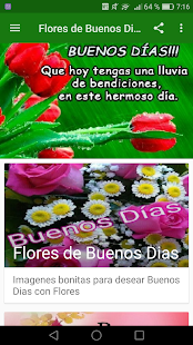 Flores de Buenos Dias - náhled