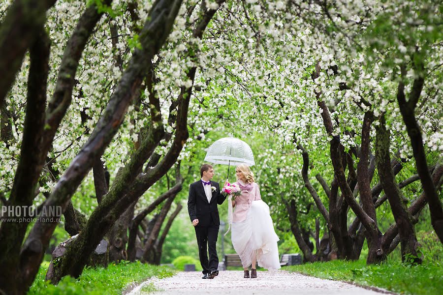 Photographe de mariage Andrey Egorov (aegorov). Photo du 6 juillet 2015